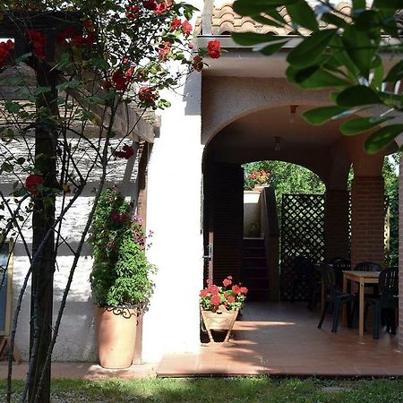 Agriturismo Piana Arborello 호텔 마글리아노 인 토스카나 외부 사진