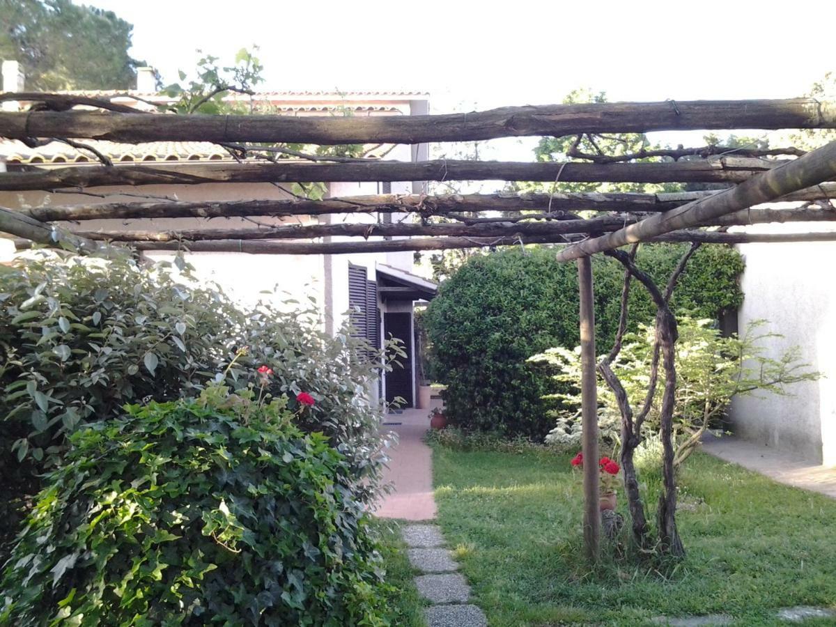 Agriturismo Piana Arborello 호텔 마글리아노 인 토스카나 외부 사진
