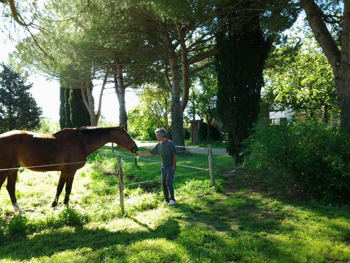 Agriturismo Piana Arborello 호텔 마글리아노 인 토스카나 외부 사진