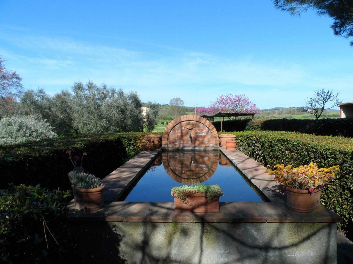 Agriturismo Piana Arborello 호텔 마글리아노 인 토스카나 외부 사진