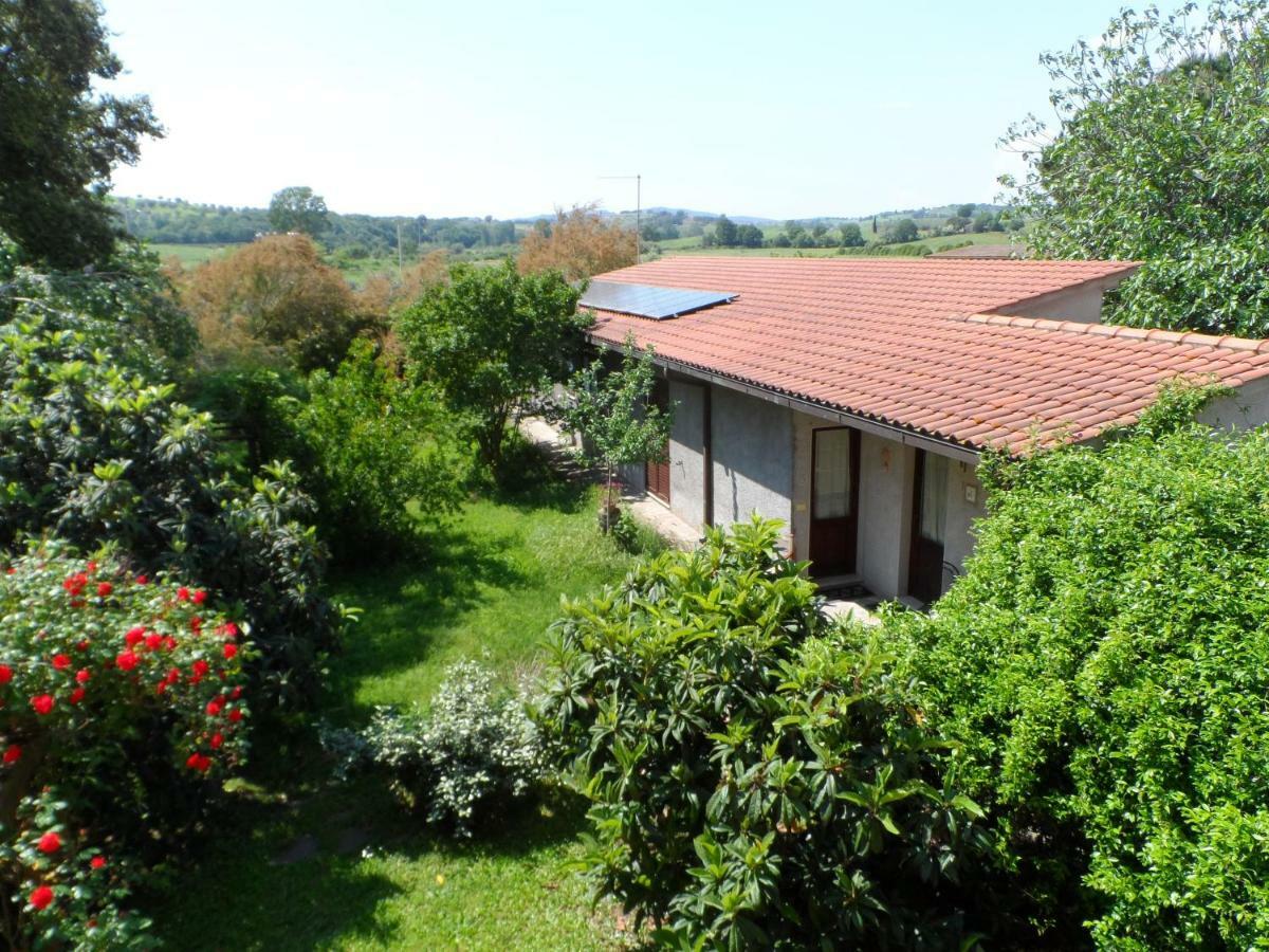 Agriturismo Piana Arborello 호텔 마글리아노 인 토스카나 외부 사진