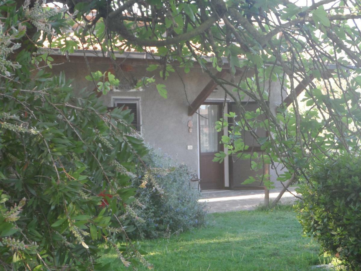 Agriturismo Piana Arborello 호텔 마글리아노 인 토스카나 외부 사진