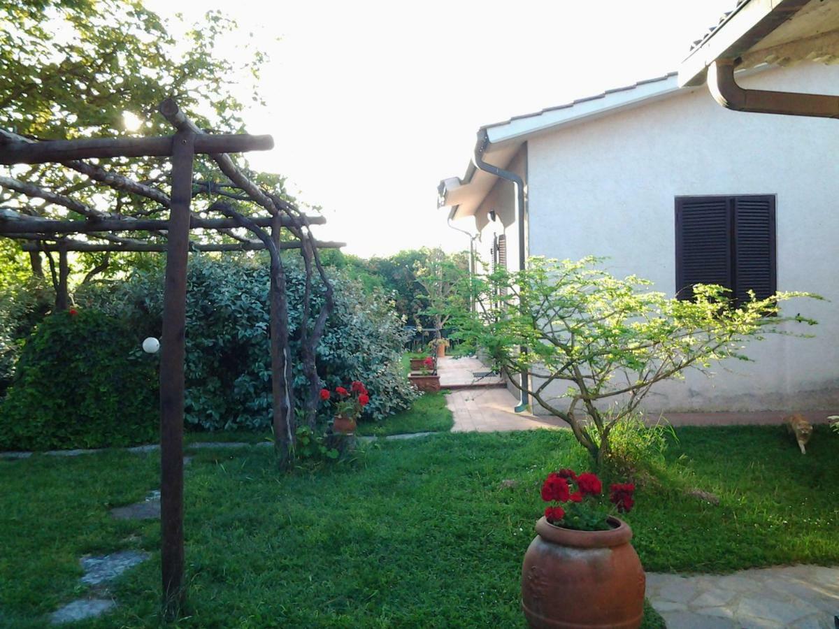 Agriturismo Piana Arborello 호텔 마글리아노 인 토스카나 외부 사진