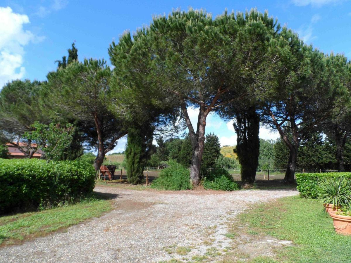 Agriturismo Piana Arborello 호텔 마글리아노 인 토스카나 외부 사진