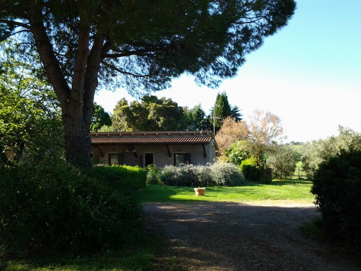 Agriturismo Piana Arborello 호텔 마글리아노 인 토스카나 외부 사진