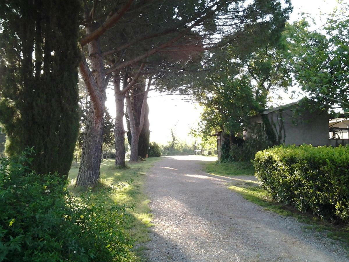 Agriturismo Piana Arborello 호텔 마글리아노 인 토스카나 외부 사진