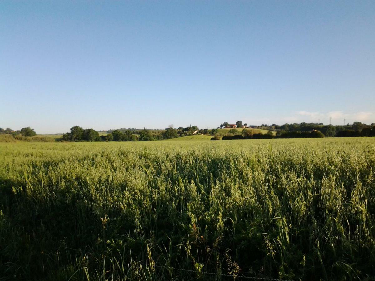 Agriturismo Piana Arborello 호텔 마글리아노 인 토스카나 외부 사진