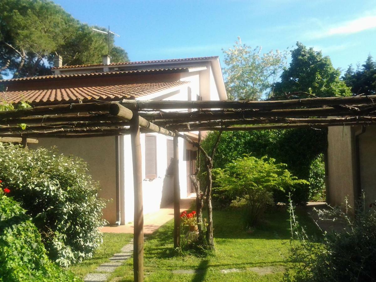 Agriturismo Piana Arborello 호텔 마글리아노 인 토스카나 외부 사진