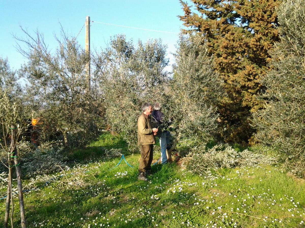 Agriturismo Piana Arborello 호텔 마글리아노 인 토스카나 외부 사진